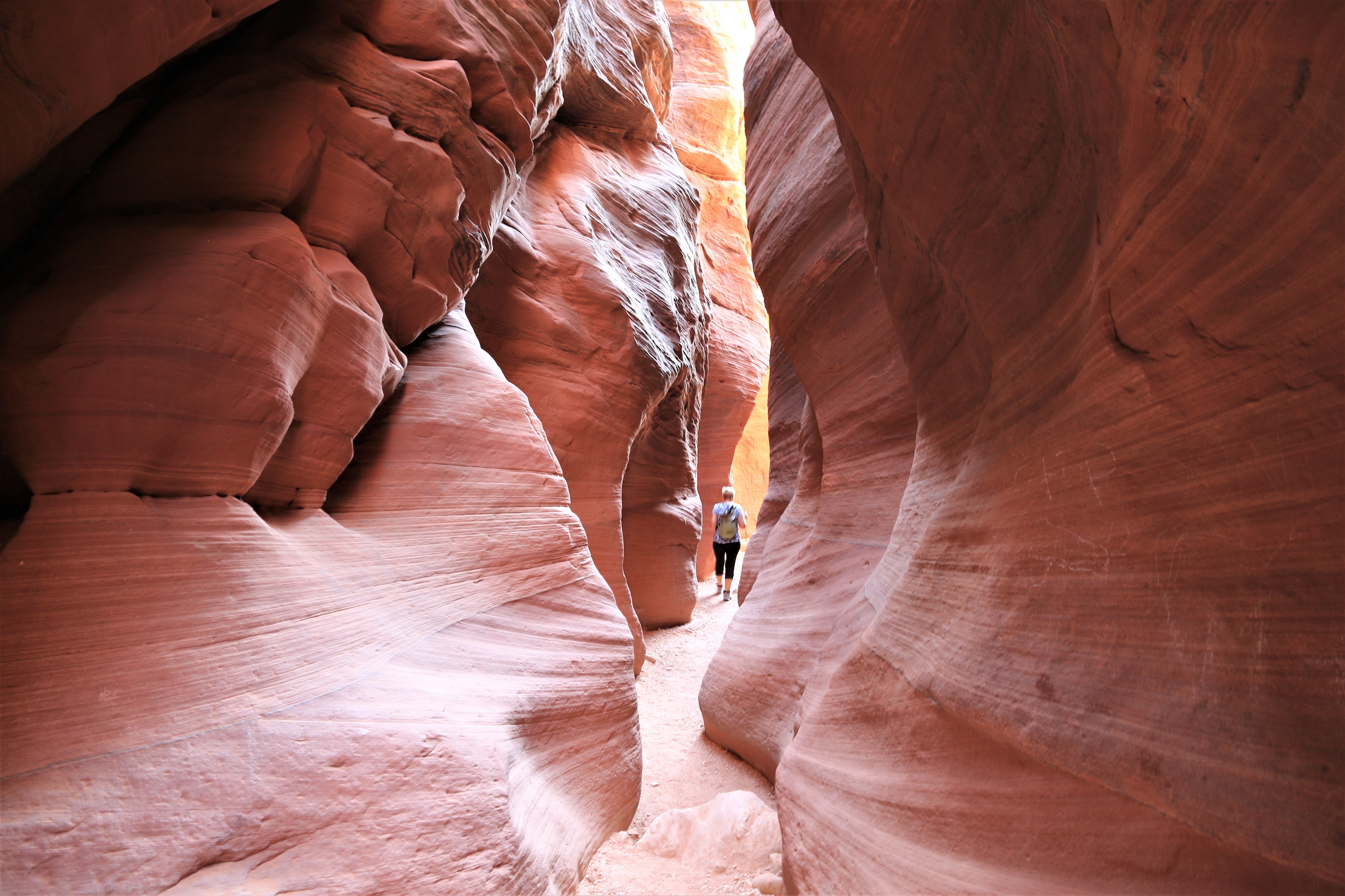 Vermillion Cliffs NM